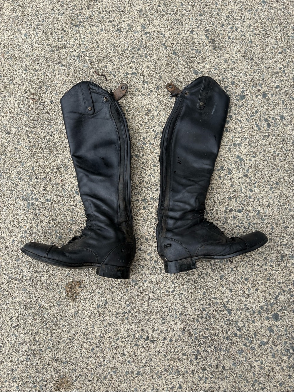 Ariat tall boots